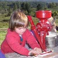 Grinding Corn