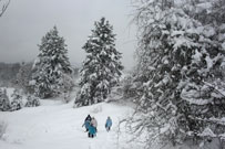 Hiking down the hill through the snow.